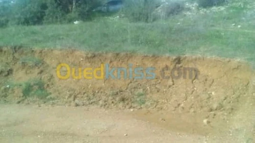 Vente Terrain Tizi ouzou Ait yahia