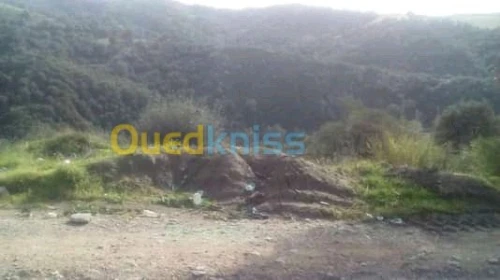 Vente Terrain Tizi ouzou Ait yahia