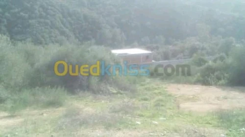 Vente Terrain Tizi ouzou Ait yahia