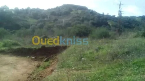 Vente Terrain Tizi ouzou Ait yahia