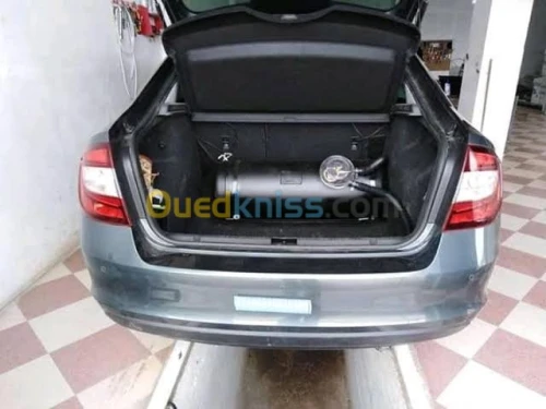 Installation et réparation de sirghaz