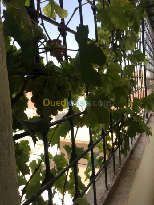 Vente Villa Tebessa Cheria
