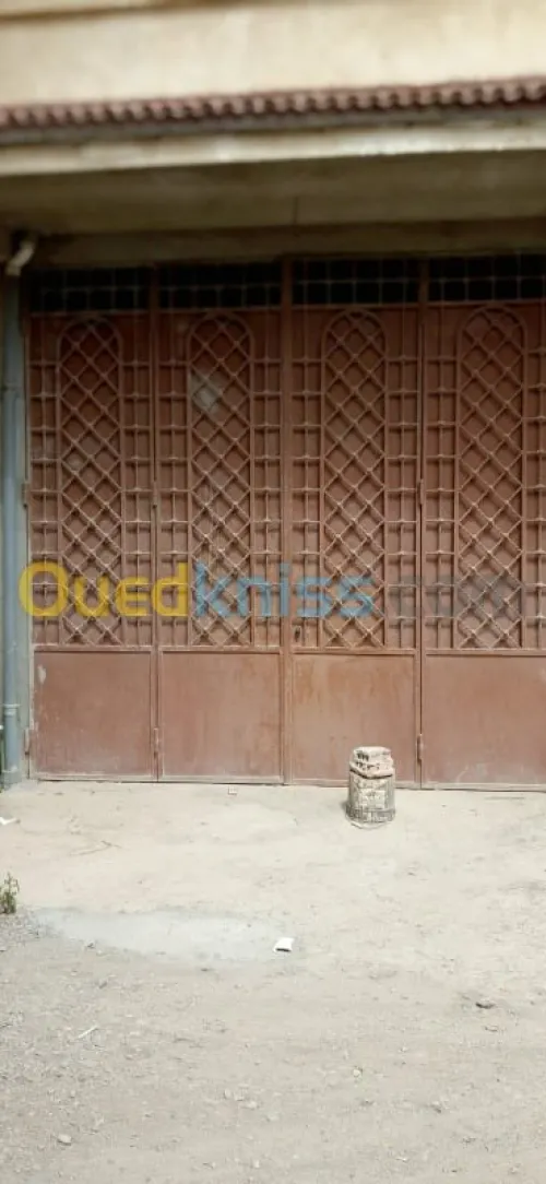 Location Local Alger Les eucalyptus