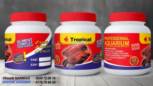 Infographie - designe 