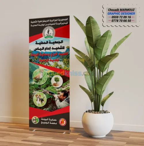 Infographie - designe 