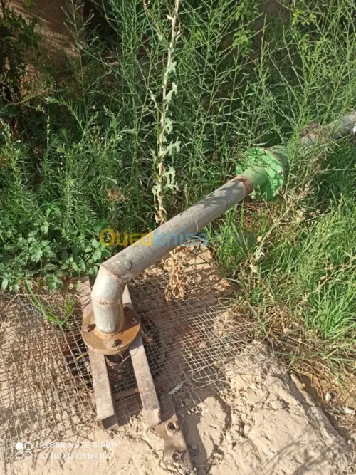 Vente Terrain Agricole Mascara Sidi kada