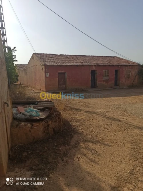 Vente Terrain Agricole Mascara Sidi kada