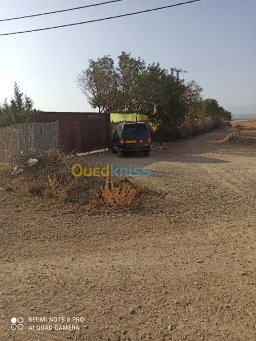 Vente Terrain Agricole Mascara Sidi kada