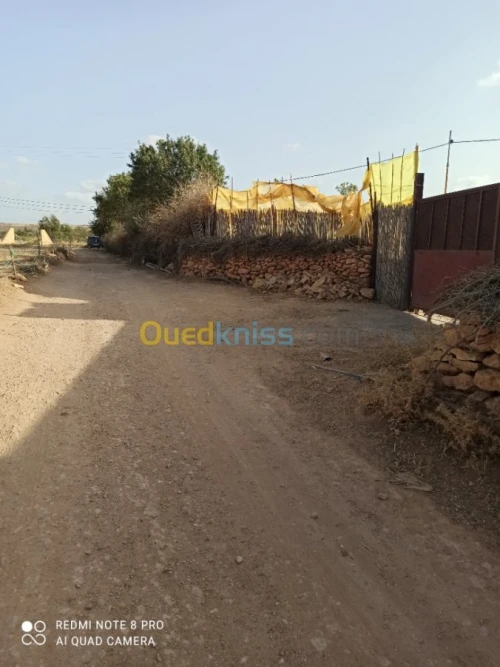 Vente Terrain Agricole Mascara Sidi kada