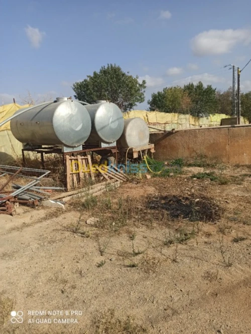 Vente Terrain Agricole Mascara Sidi kada