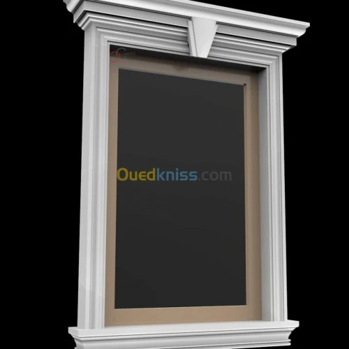 Professionnel designer