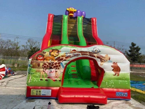 Toboggan et trampoline 