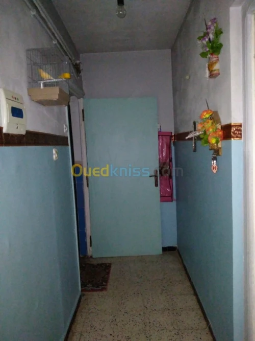 Vente Appartement F3 Constantine Hamma bouziane