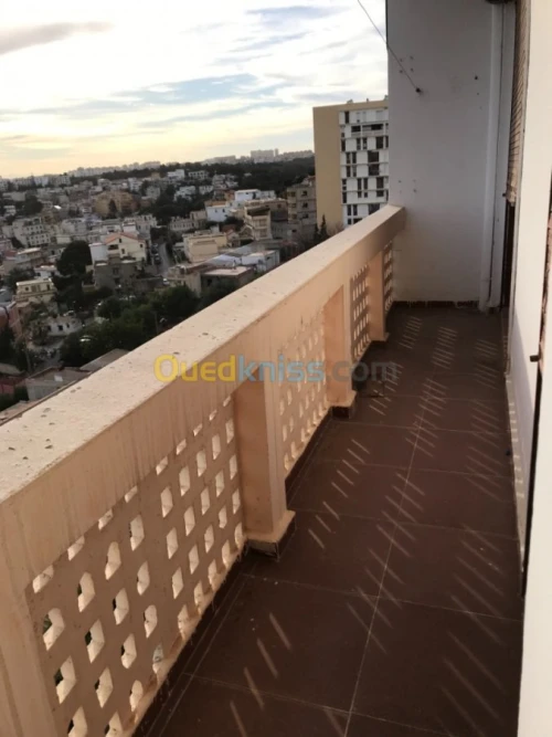 Location Studio Alger Hydra