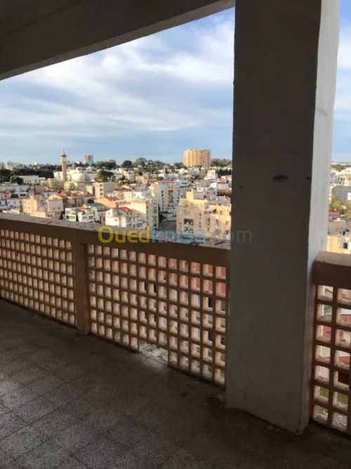 Location Studio Alger Hydra