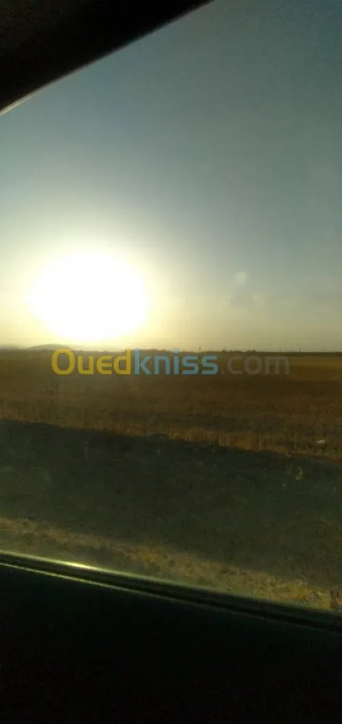 Vente Terrain Agricole Batna Seriana