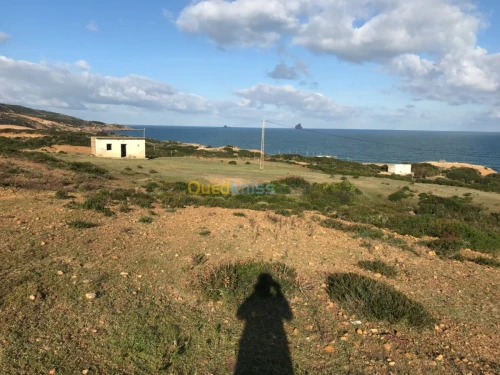 Vente Terrain Tunisie