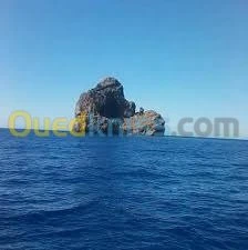 Vente Terrain Tunisie