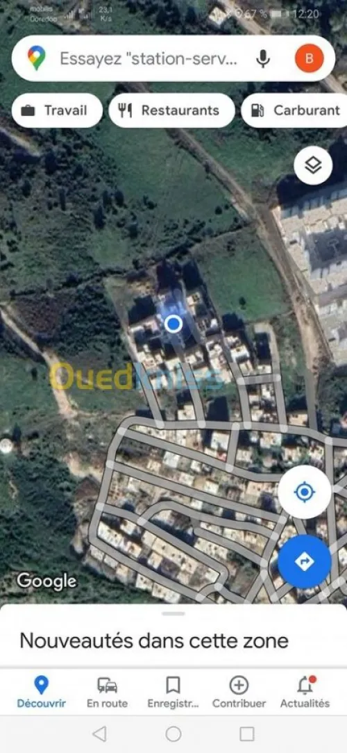 Vente Terrain Skikda Collo