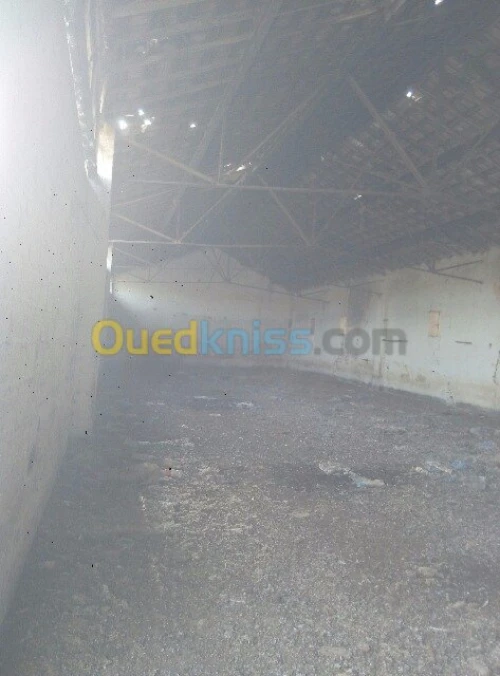 Vente Hangar Sidi bel abbes Sidi lahcene
