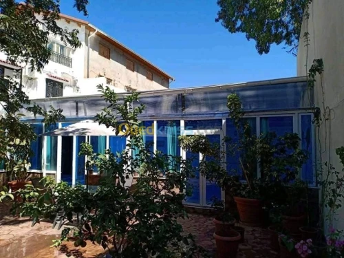 Polycarbonate tinda et toiture