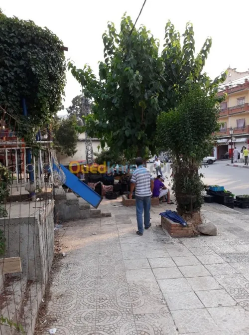 Vente Niveau De Villa F3 Souk ahras Ain sanour