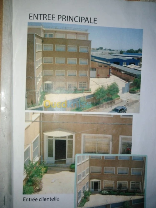 Location Usine Alger Oued smar
