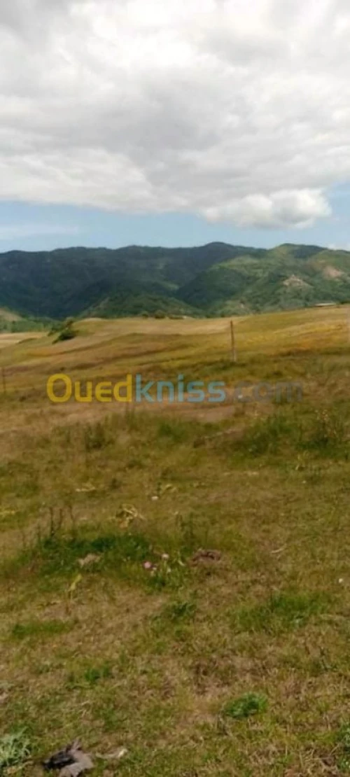 Vente Terrain Jijel El milia