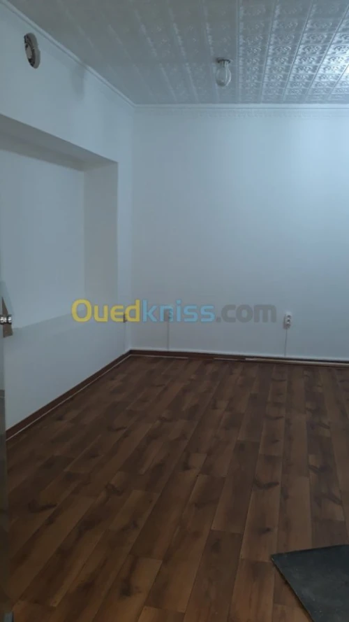 Location Local Alger Alger centre