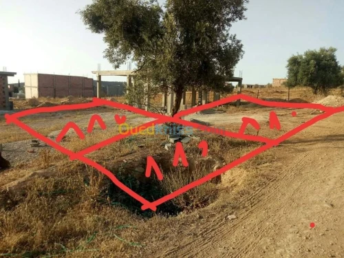 Vente Terrain Tlemcen Chetouane