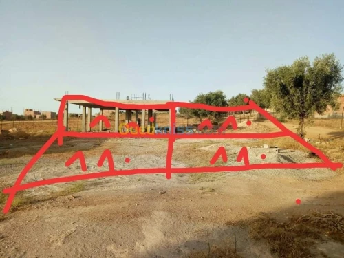Vente Terrain Tlemcen Chetouane