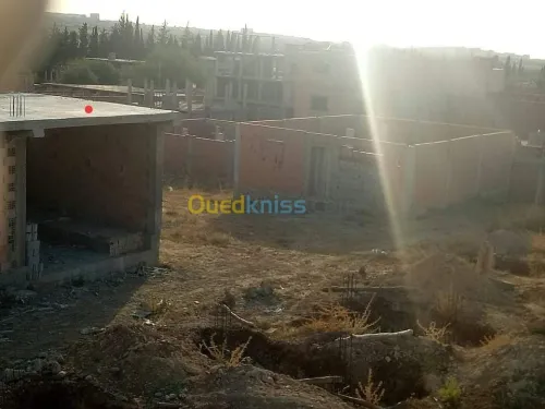 Vente Terrain Tlemcen Chetouane