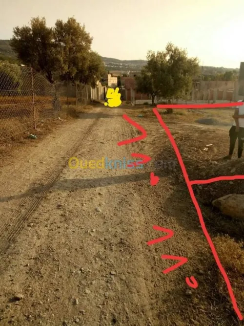 Vente Terrain Tlemcen Chetouane