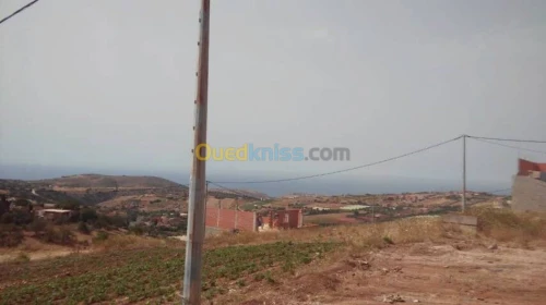 Location vacances Appartement F3 Tlemcen Souahlia