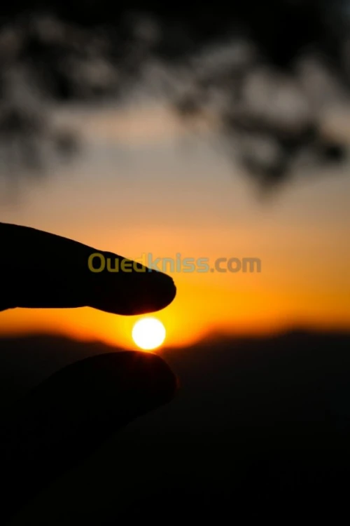 photographe