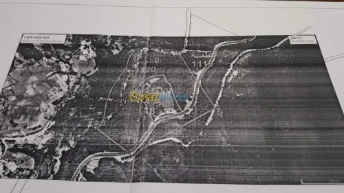 Vente Terrain Chlef Tenes