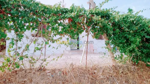 Vente Niveau De Villa F3 Constantine Messaoud Boudjeriou