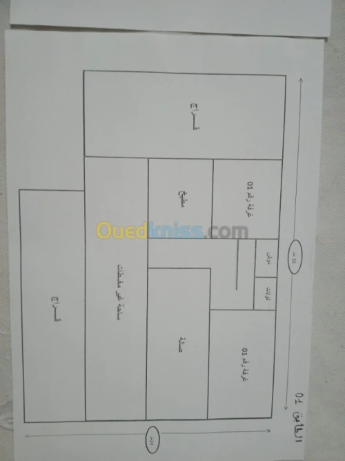 Vente bien immobilier Chlef Ain merane