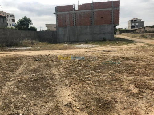 Vente Terrain Boumerdes Djinet