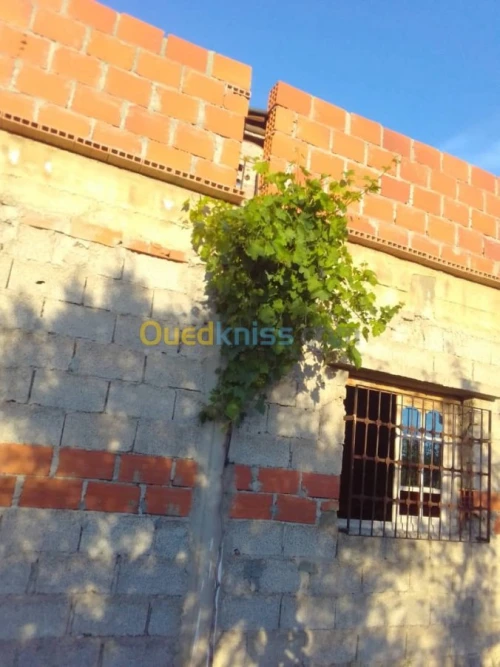 Vente Appartement F5 Tlemcen Djebala
