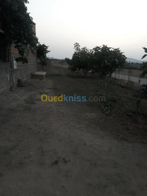 Vente Appartement F5 Tlemcen Djebala