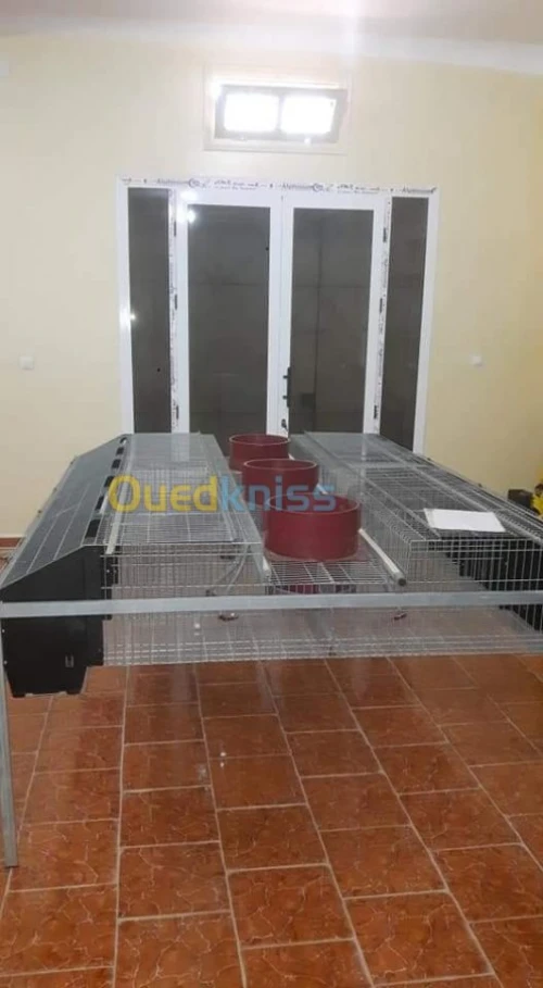 Batterie pour lapin سجنة أرانب 