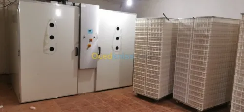 Couvoir capacité 63000/21000 par semai