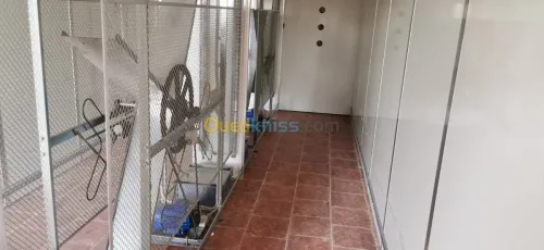 Couvoir capacité 63000/21000 par semai