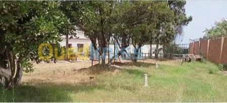 Location vacances Bungalow Jijel Jijel