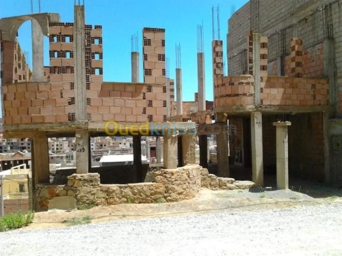 Vente Carcasse Tlemcen Mansourah