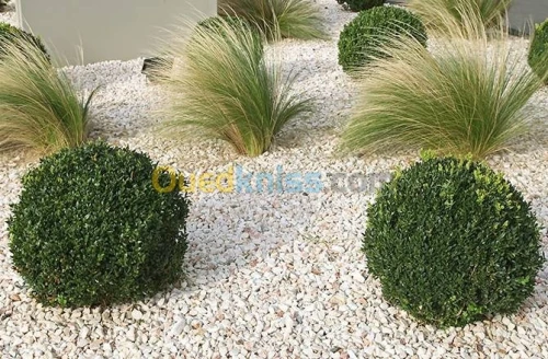 Graviers Décoratifs Blanc 8-15 mm 10kg