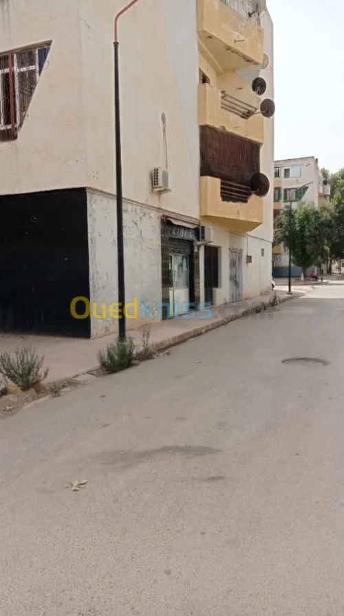 Vente Local Sidi Bel Abbès Sidi bel abbes