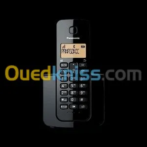 Panasonic KX-TGB10AF