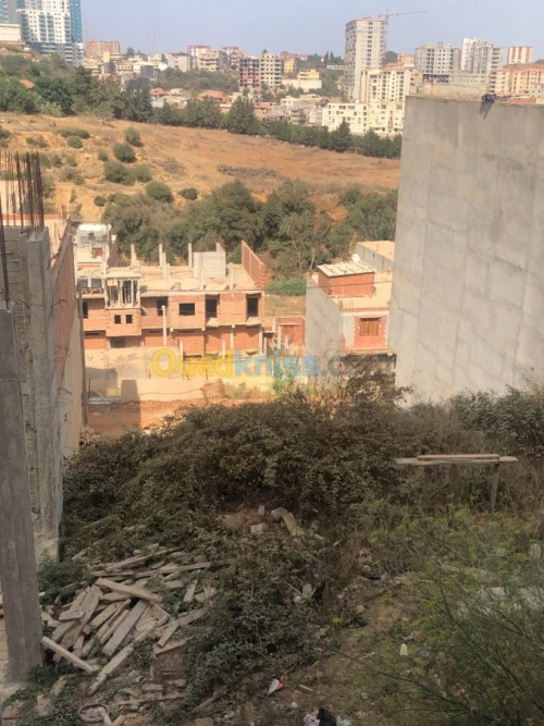 Vente Terrain Alger Saoula